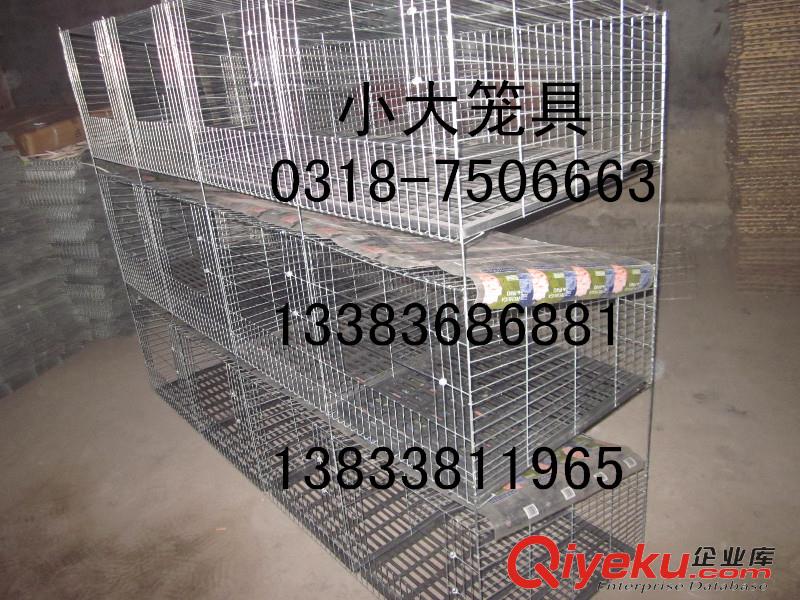 鴿籠兔籠鳥(niǎo)籠貓籠貉籠雞籠子狐貍籠鵪鶉籠鴿子籠兔子籠運(yùn)輸籠