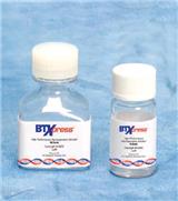 美國哈佛B(yǎng)TX電穿孔液緩沖液貨號45-0801專賣訂貨中