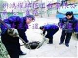 常熟虞山鎮(zhèn)工廠雨水管道清洗公司13814829087