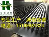 綠化車庫排水板河南/鄭州20mm高蓄排水板廠家送貨