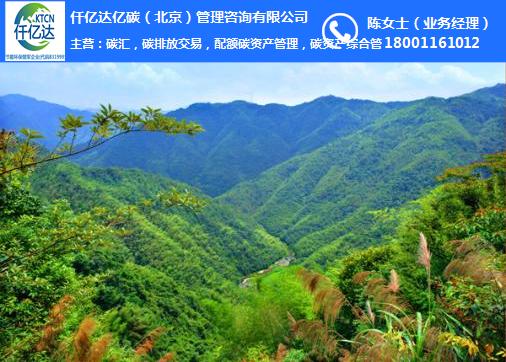 碳汇,仟亿达碳汇,林业碳汇