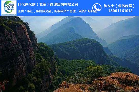竹林碳汇,碳汇,仟亿达新能源(查看)