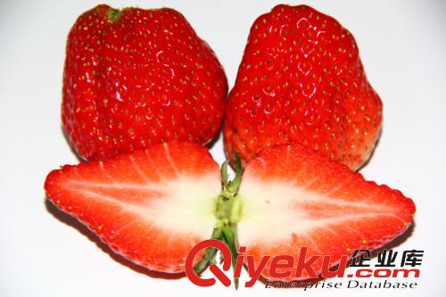 牛奶九九草莓種植時(shí)的病害防治