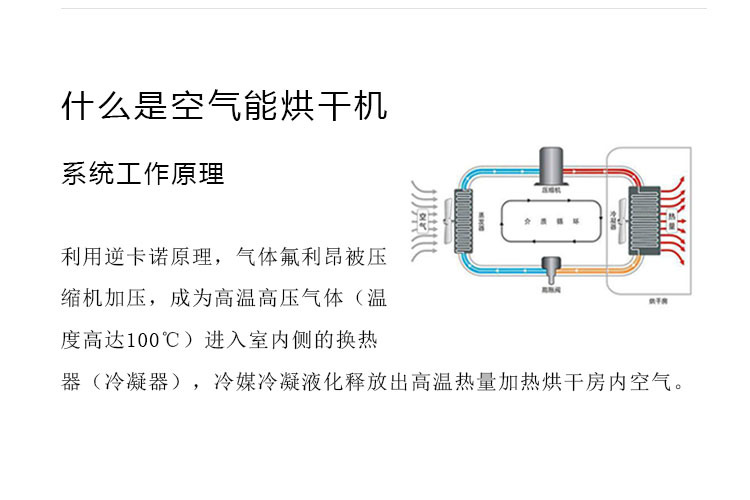  面条干燥设备 恒速干燥