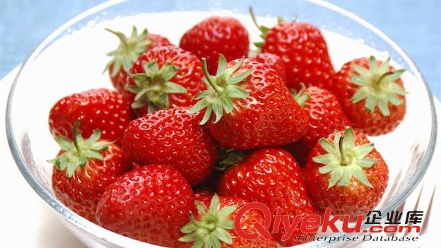 在2019年九九草莓批發多少錢