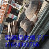 開遠壓鑄模具篦子模具