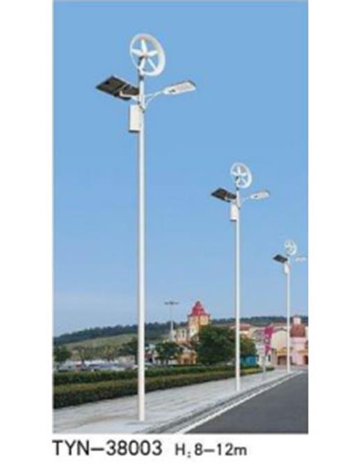 新农村太阳能风光互补路灯TYN-38003