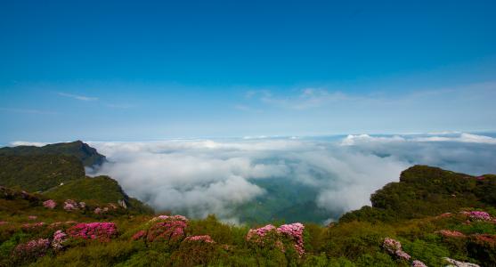 xx金佛山门票团购