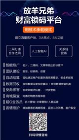 放羊哥：技術(shù)承載模式（lb營銷），工具驅(qū)動營銷