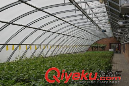 鋼架溫室蔬菜大棚的五個(gè)優(yōu)勢