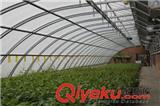 鋼架溫室蔬菜大棚的五個(gè)優(yōu)勢