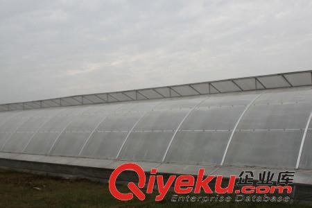 日光溫室大棚下雪后該怎么辦？記住這七點！