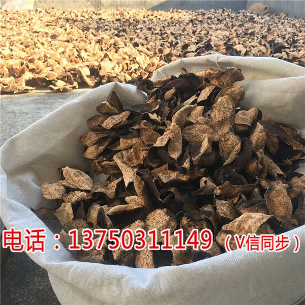 御广陈三年新会陈皮价格多少一斤%【济宁新闻网】