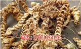 界首竹節(jié)參白三七野三七種植技術(shù)