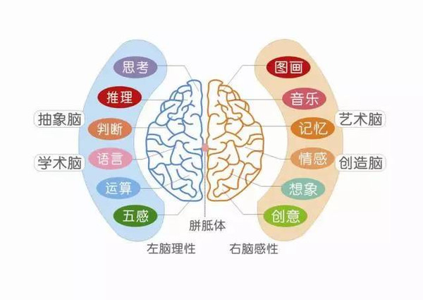 加盟一家记忆计划店需要多少钱