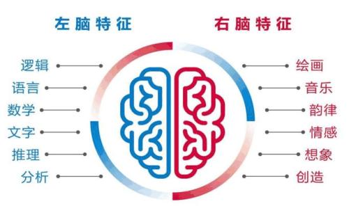 记忆计划加盟学习费用多少钱