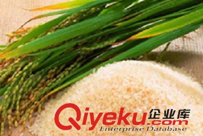 哪里適合沈陽富硒食品的生長