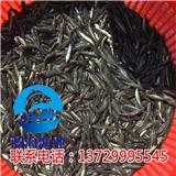 深圳生魚苗價格【藍海漁業】
