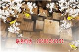 佛山皇域新材料科技有限公司加盟騙子？皇者用實力破除【珠海新聞網(wǎng)】