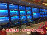 廈門魚池_廈門魚池報(bào)價(jià)_廈門做海鮮池的公司