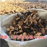 御廣陳三年新會陳皮價格多少一斤【荊州新聞網】