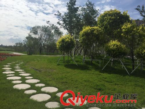 遼寧園林綠化公司是怎么發(fā)展起來的？