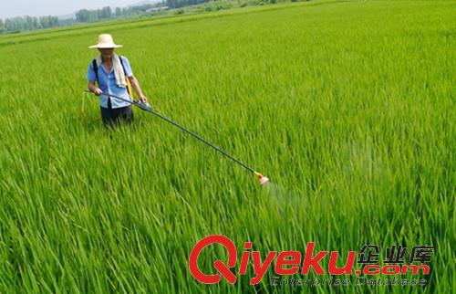 你了解葉面肥嗎？