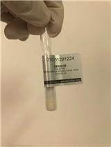 ATCC菌種中文官網 生孢梭菌 ATCC細胞庫 BIOBW生物