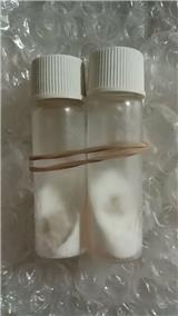 中國微生物菌種查詢網ATCC菌種MOR-1