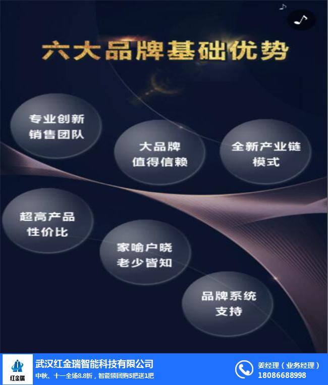 武汉指纹锁,红金瑞智能科技,指纹锁多少钱