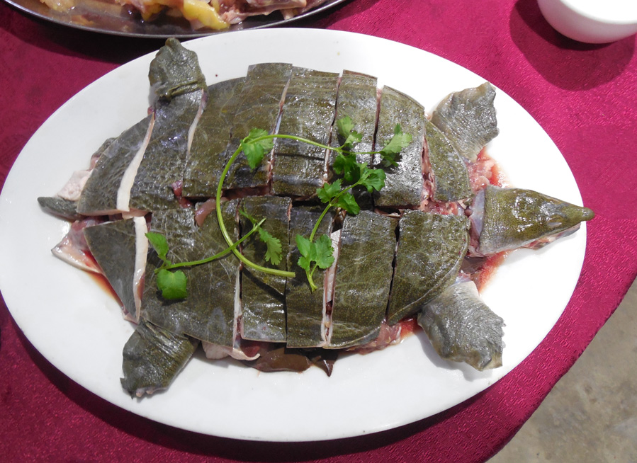 石三農莊特色菜-自家養殖水魚