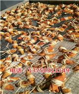 新會御廣陳|大量廣東三寶扎廠家批發零售價格%【宜賓新聞網】
