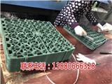 綠化排水板-美鑫塑膠制品