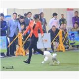 無論天冷天熱，北京寵物美容師培訓(xùn)是您上佳的選擇！芊羽寵物等你