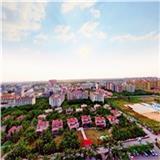 西奈網(wǎng)專業(yè)全景網(wǎng)站，用心于客