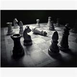 湖南省精品棋類培訓機構哪家好|品精品棋類教育輔導機構上哪買