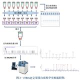 蛋白膠條溶液鑒定制造商