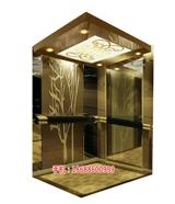 上海私家電梯生產(chǎn)廠家