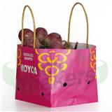 Gift handbag, fashion in hand 