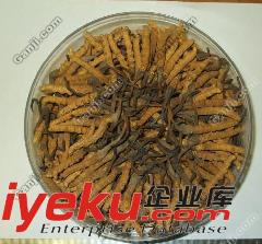 大鐘寺回收海參13611114534北京同仁堂冬蟲夏草回收