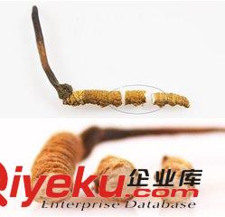 無錫高價回收冬蟲夏草13611114534收購海參