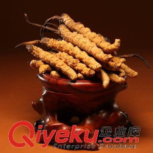 黃村回收燕窩13611114534大興區回收冬蟲夏草