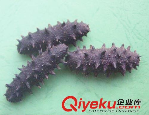 廊坊回收冬蟲夏草13581832588收購北京同仁堂蟲草
