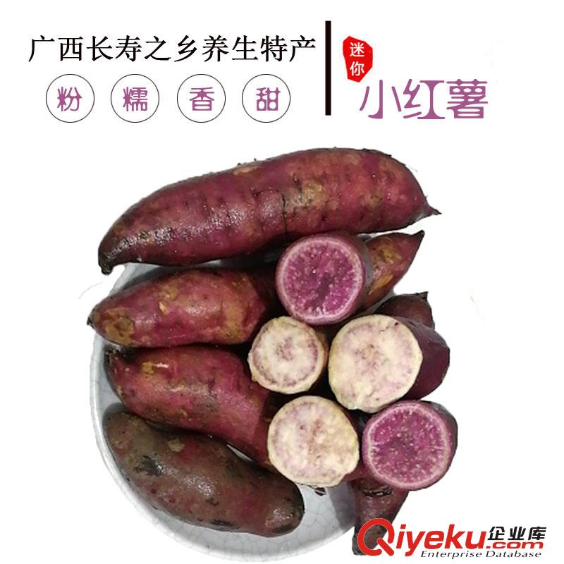 長壽之鄉紫皮迷你小紅薯養生特產
