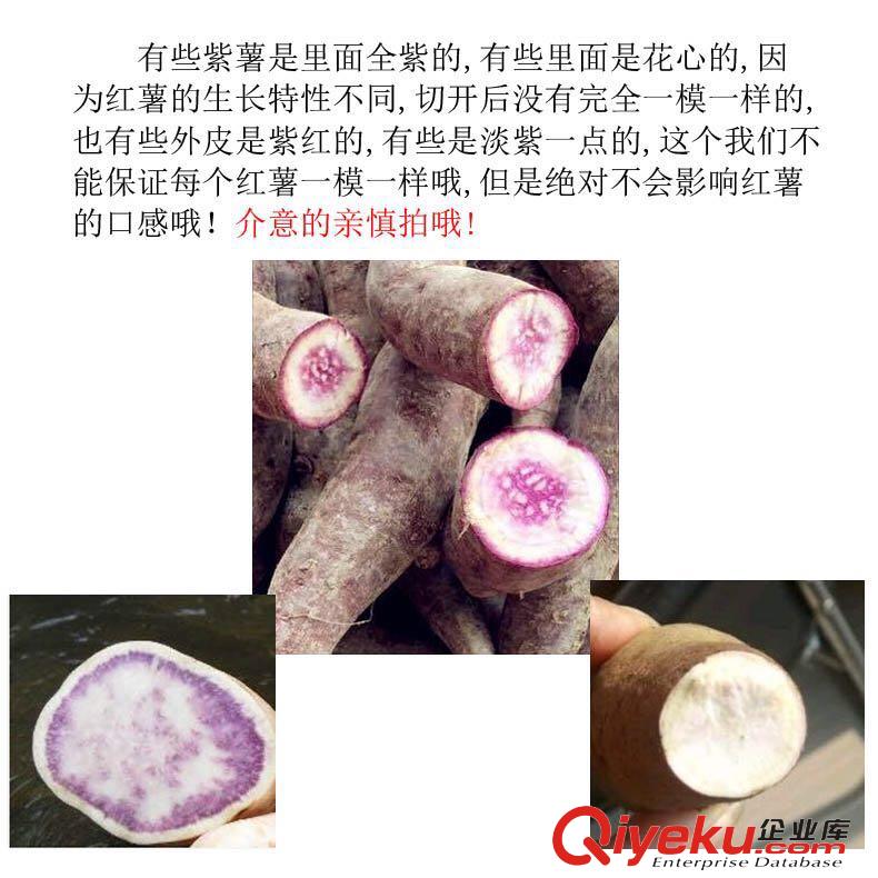 長壽之鄉紫皮迷你小紅薯養生特產