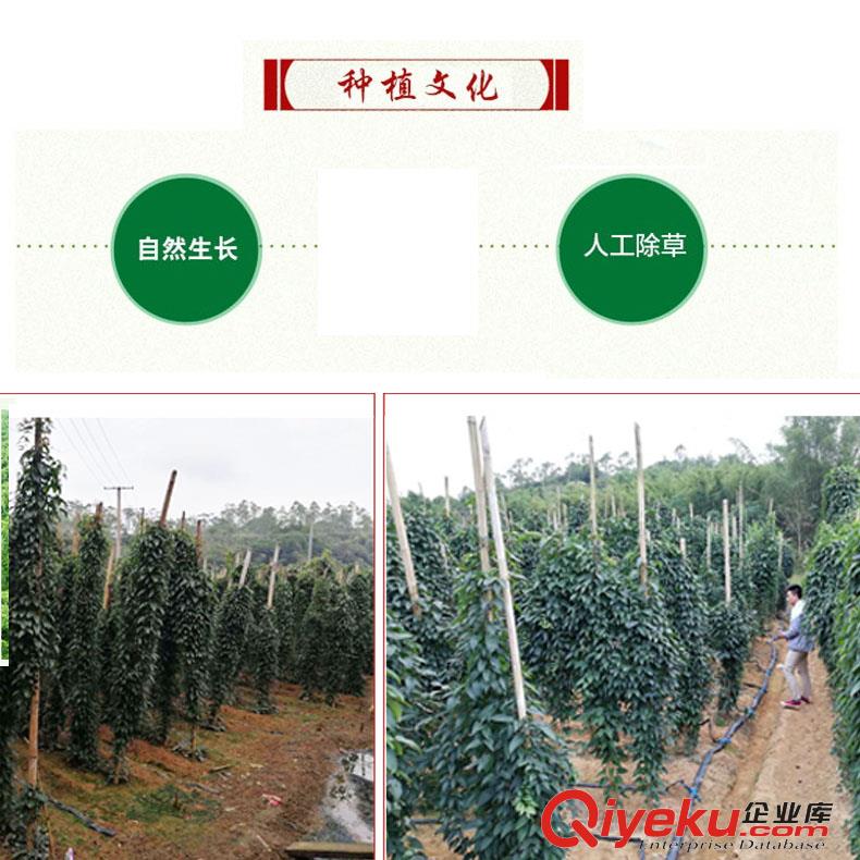 【3/5/10斤】長壽之鄉(xiāng)基地直采直發(fā)浦北淮山原生態(tài)放心食品
