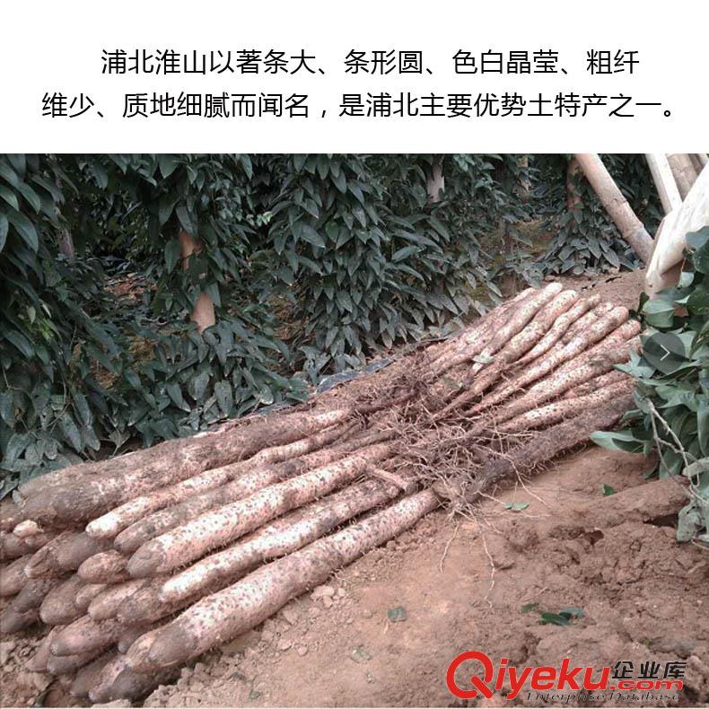 【3/5/10斤】長壽之鄉基地直采直發浦北淮山原生態放心食品