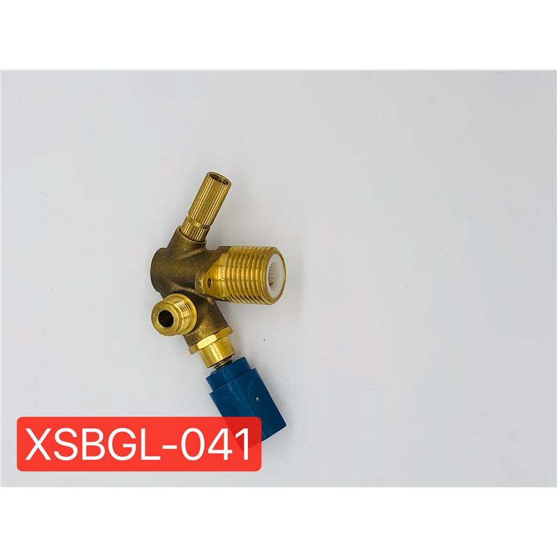 XSBGL-041 壁掛爐配件