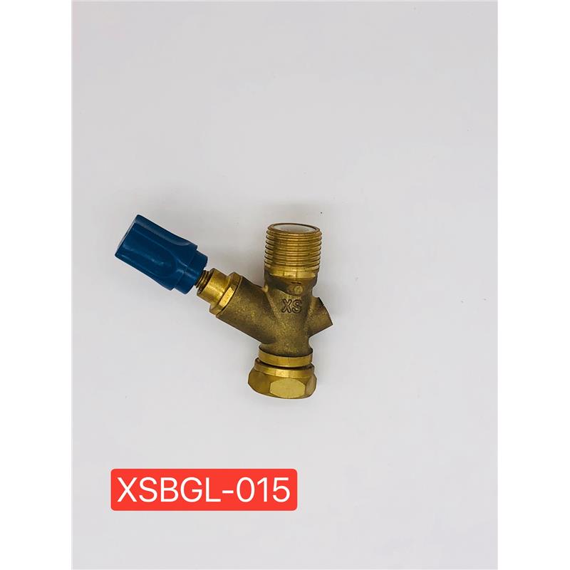 XSBGL-013