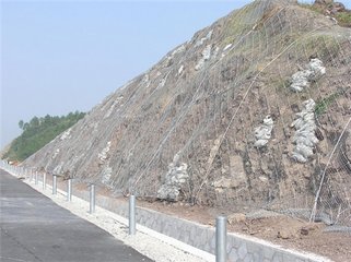 河南安麥斯公路山體兩側專用邊坡防護網